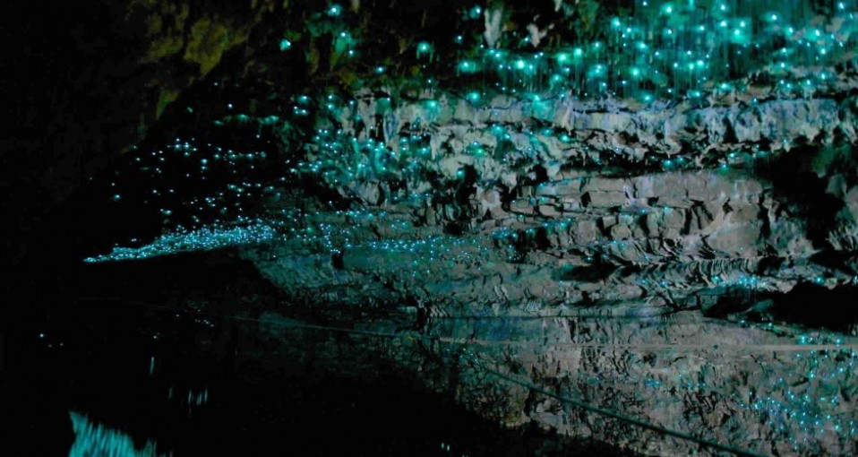 glowworm cave